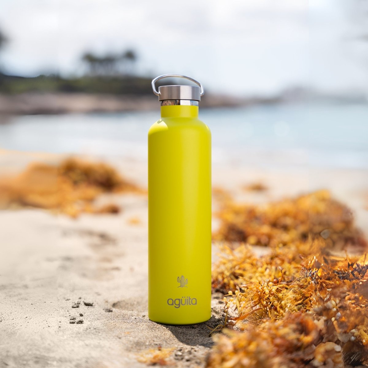 INSULATED BOTTLE 1L ᛫ LIME - AGÜITA INSULATED BOTTLE 1L ᛫ LIME - AGÜITA