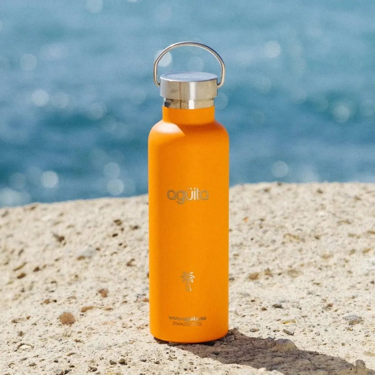 INSULATED BOTTLE ᛫ ORANGE - AGÜITA INSULATED BOTTLE ᛫ ORANGE - AGÜITA