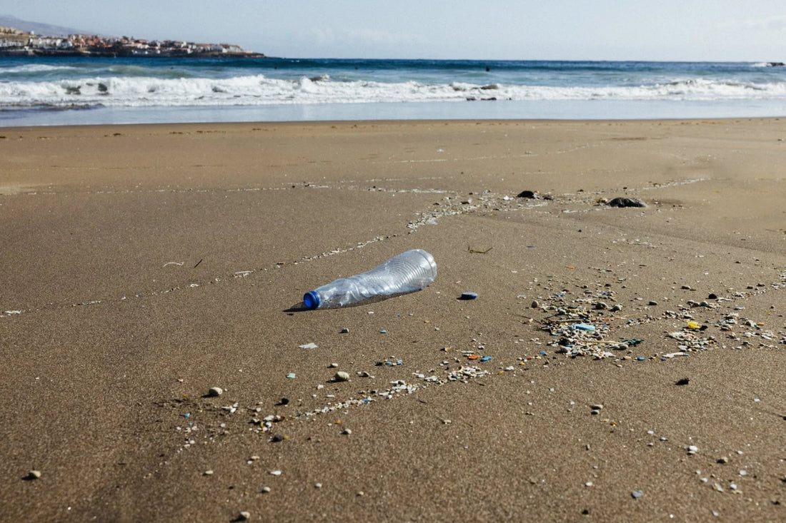 The Wake-up Call: Rethinking Single-use Plastics for a Sustainable Future - AGÜITA