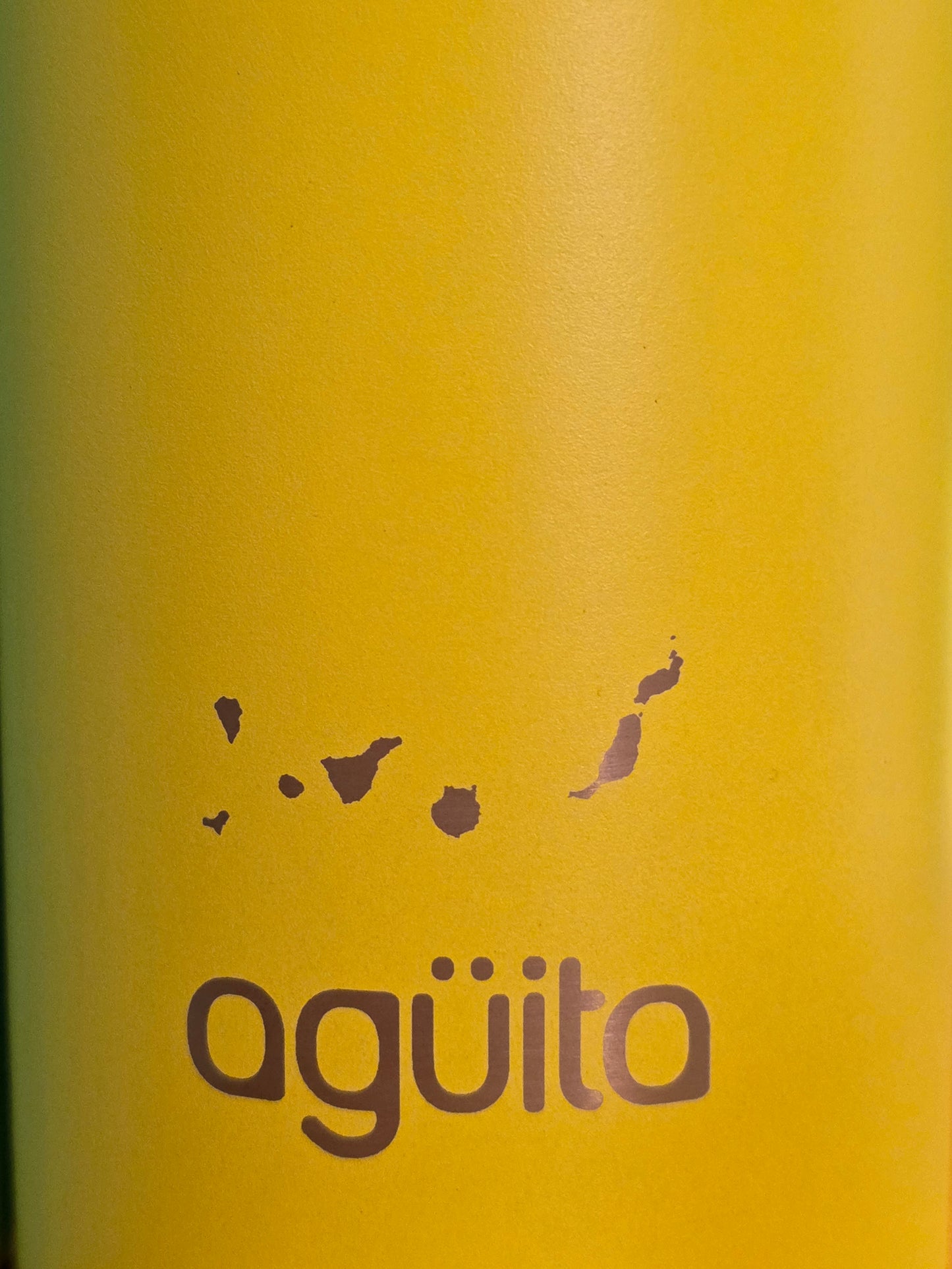 BOTELLA TÉRMICA DIA DE CANARIA 750ML ᛫ TURQUESA